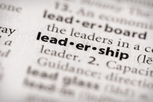 Dictionary Series - Attributes: leadership